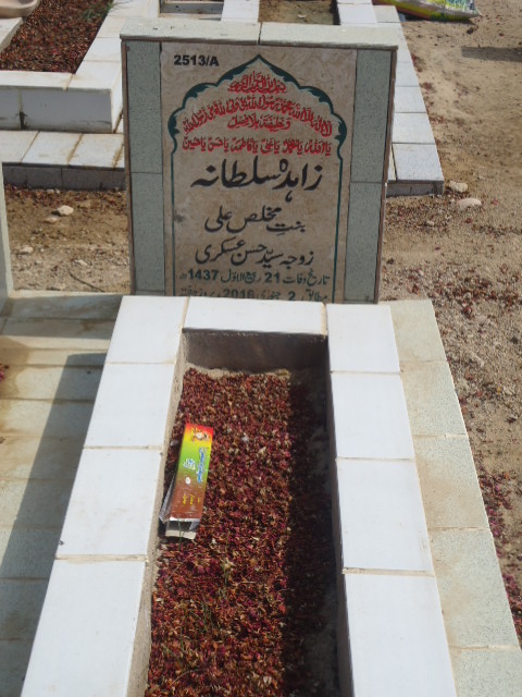 12513 – Zahida Sultana