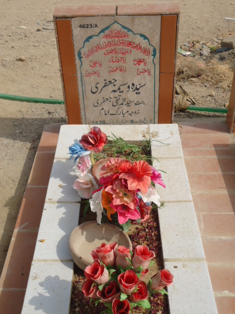 14624 – Syed Mehdi Haider Rizvi