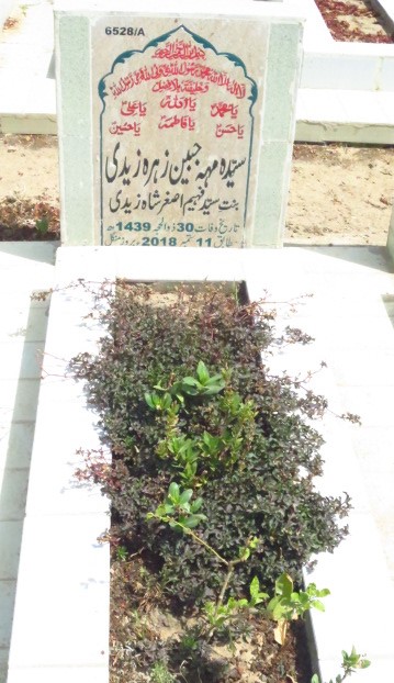 16528 – Syeda Mehjabeen Zehra Zaidi