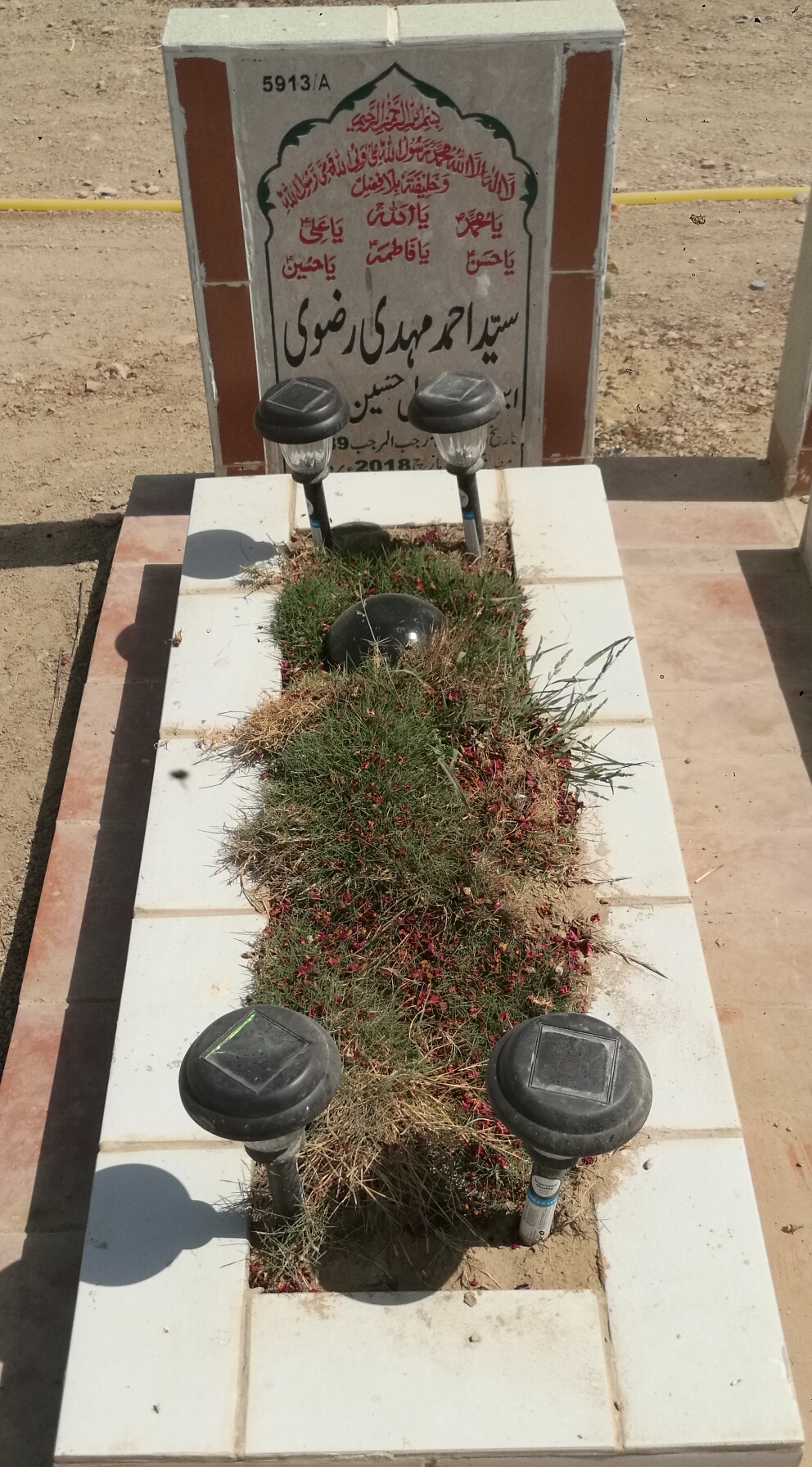 15913 – Syed Ahmed Mehdi Rizvi