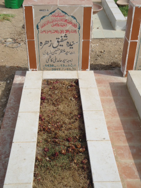 14403 – Syeda Shafiq Zehra