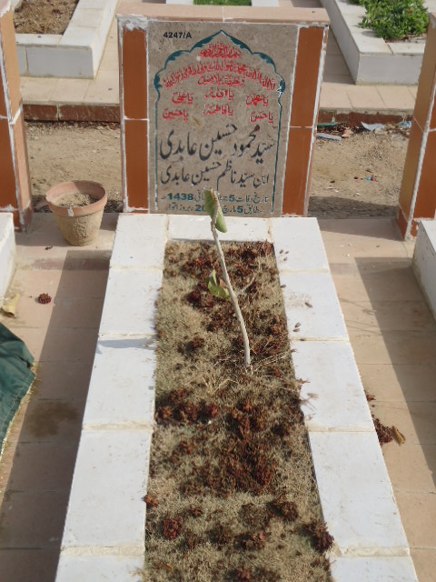 14247 – Syed Mehmood Hussain Abidi