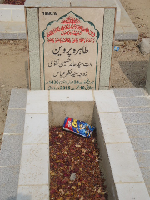 11980 – Tahira Parveen