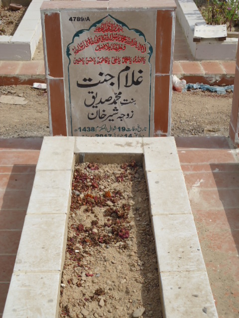 14789 – Ghulam Jannat