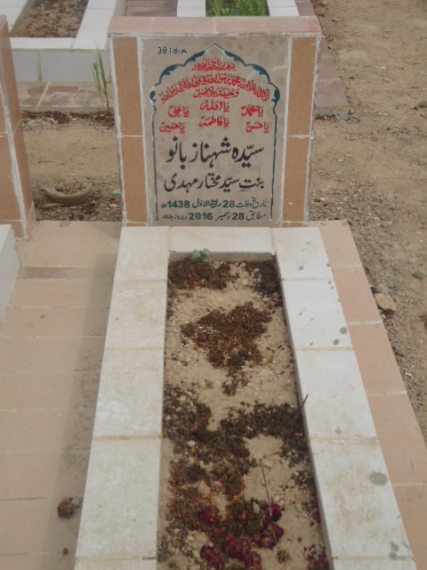 13918 – Syeda Shehnaz Bano