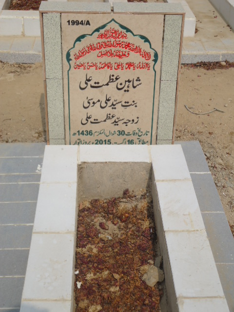 11994 – Shaheen Azmat Ali