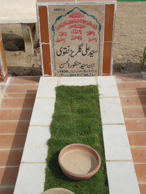 14601 – Syed Ali Gulraiz Naqvi
