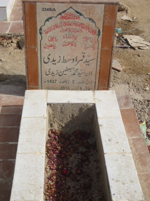 13349 – Syed Qamar Ausat Zaidi