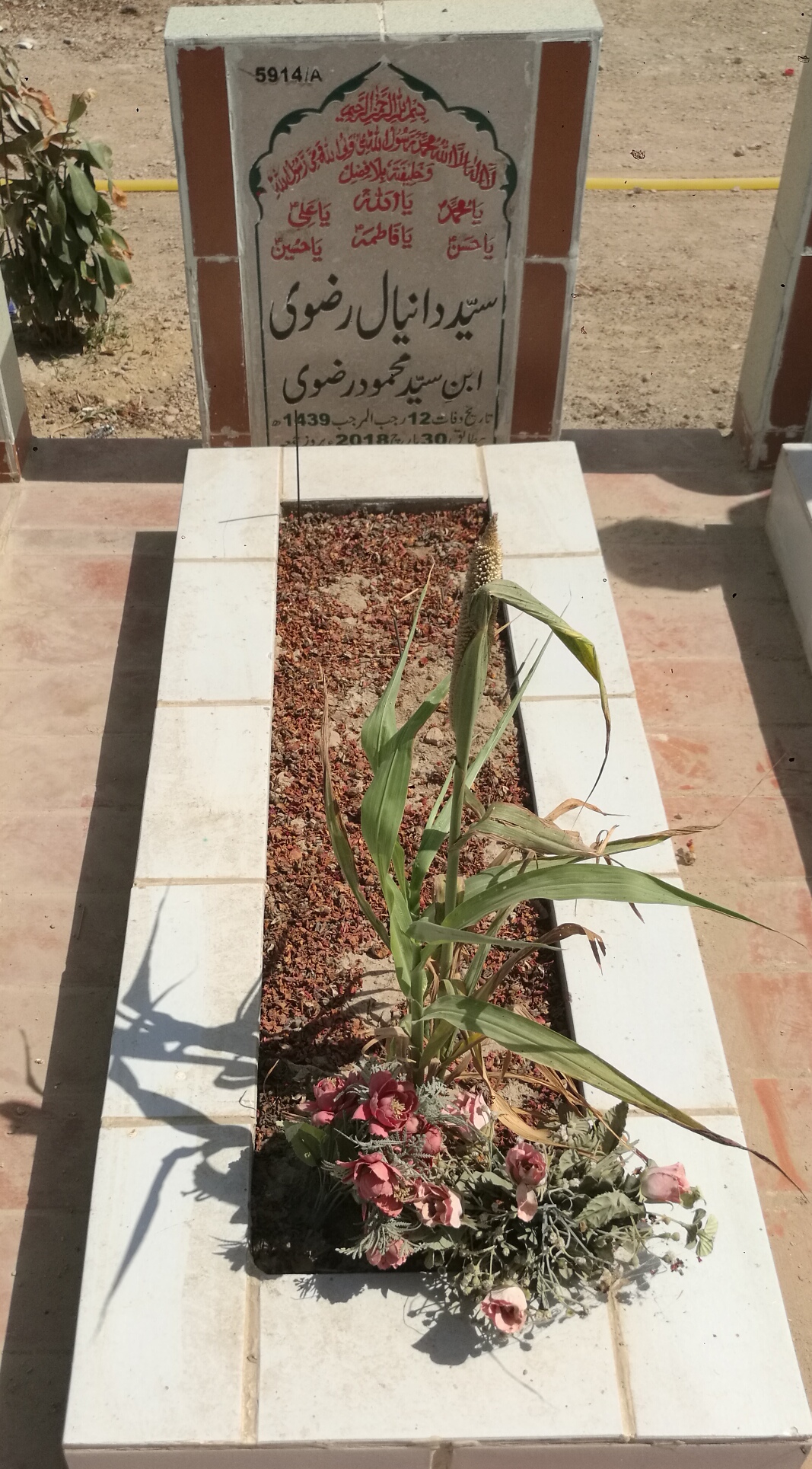 15914 – Syed Daniyal Rizvi