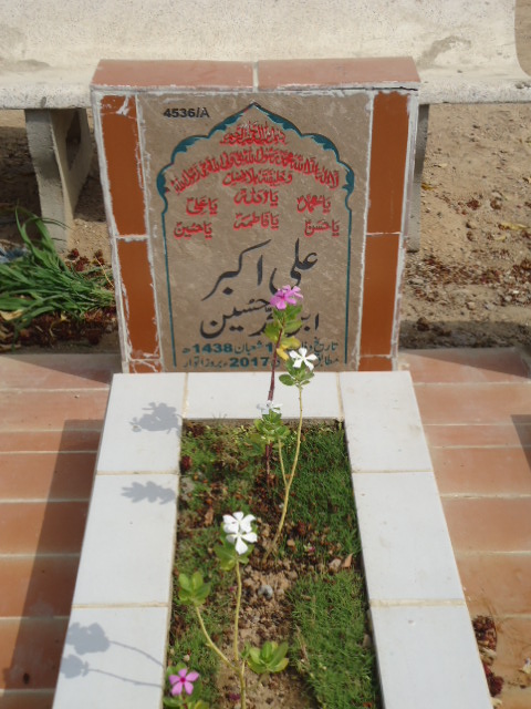 14536 – Ali Akbar