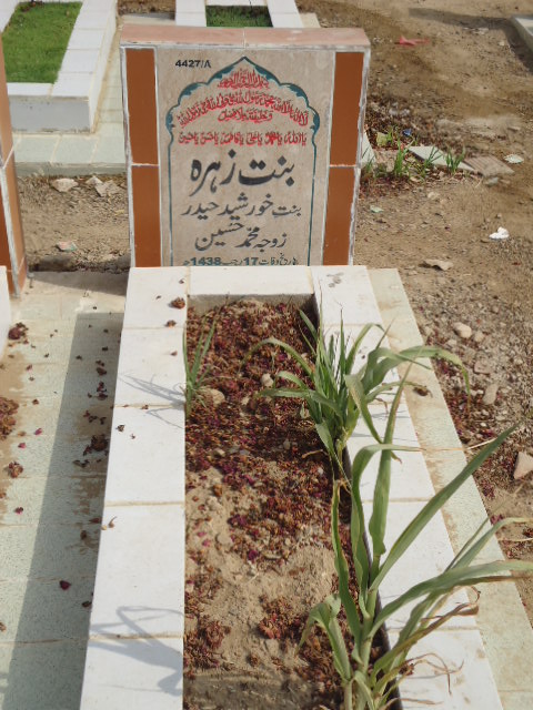 14427 – Binte Zehra