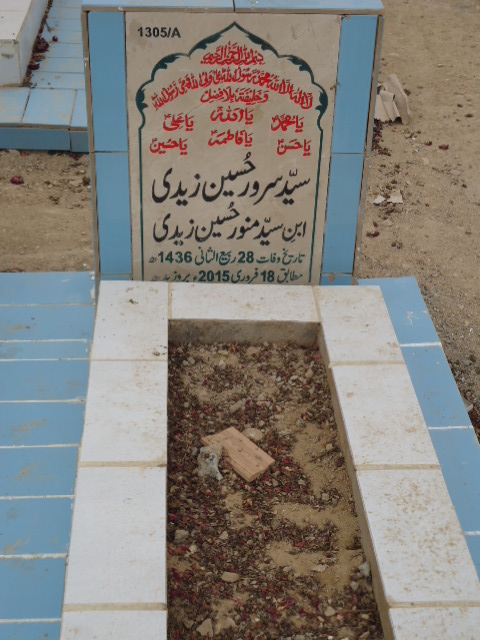 11305 – Syed Sarwar Hussain Zaidi