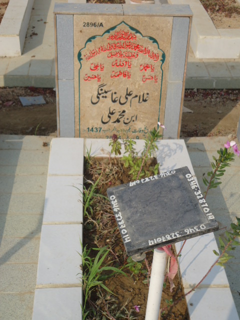 12896 – Ghulam Ali