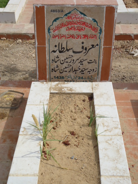14803 – Maroof Sultana
