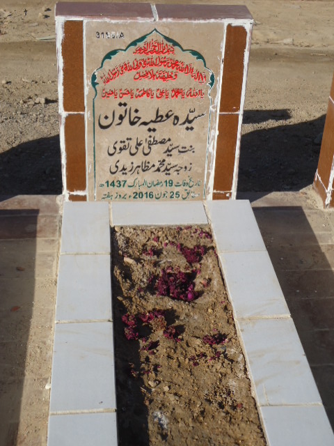 13185 – Syeda Atiya Khatoon