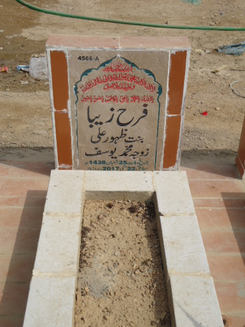 14566 – Farah Zeba