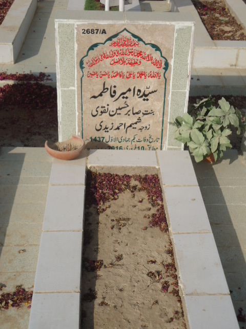 12687 – Syeda Ameer Fatima