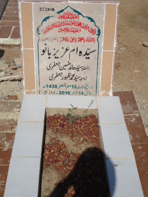 13728 – Syeda Ummay Aziz Bano