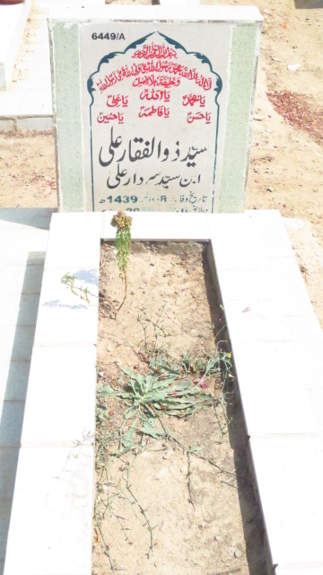 16449 – Syed Zulfiqar Ali