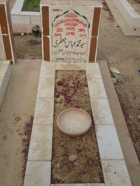 15487 – Syed Muhammad Abbas Jaffery