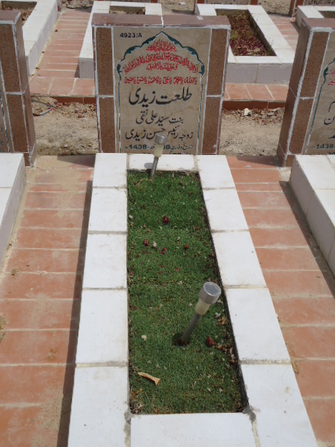 14923 – Talat Zaidi