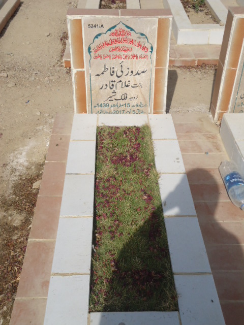 15241 – Sadozai Fatima