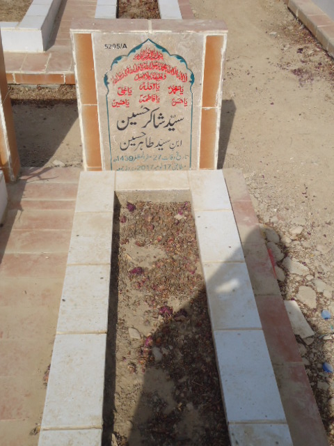 15295 – Syed Shakir Hussain