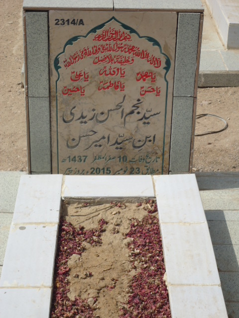 12314 – Syed Najam Ul Hasan Zaidi