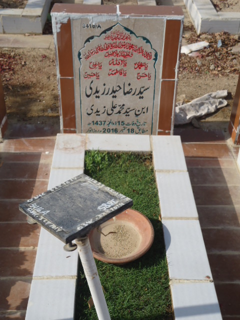 13416 – Syed Raza Haider Zaidi