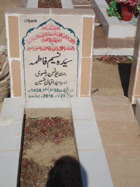 13764 – Syeda Naseem Fatima