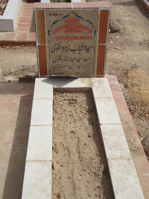 15129 – Syeda Shabab Zehra Naqvi