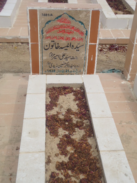 13881 – Syeda Aneesa Khatoon