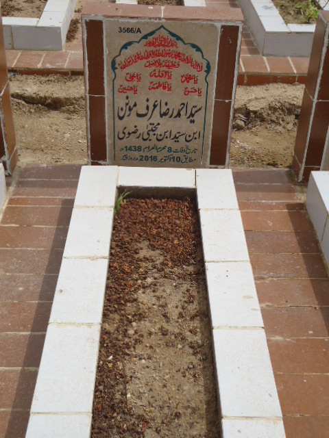 13566 – Syed Ahmed Raza
