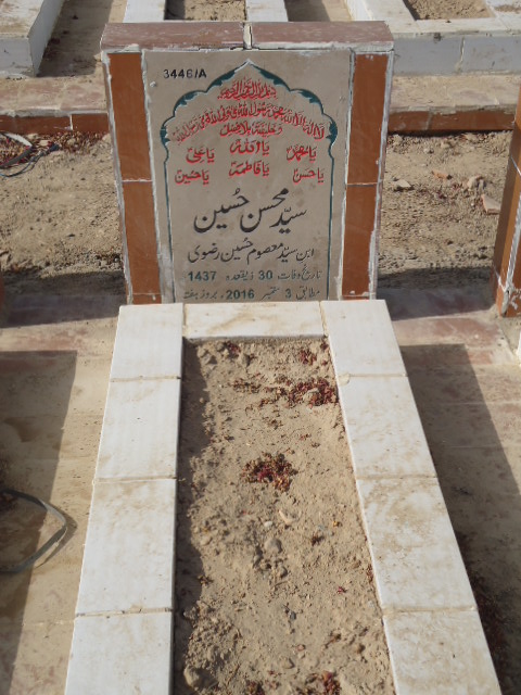 13446 – Syed Mohsin Hussain