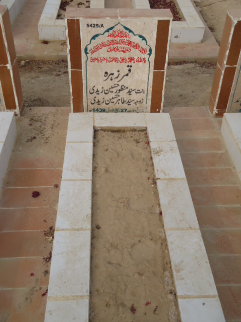 15425 – Qamar Zehra