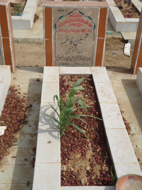 14429 – Tehseen Fatima
