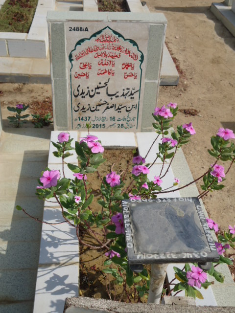 12488 – Syed Tehzeeb Ul Hasnain Zaidi