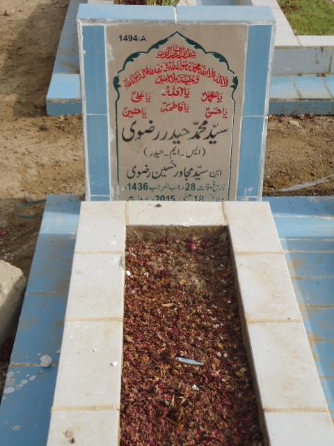 11494 – Syed Muhammad Haider Rizvi