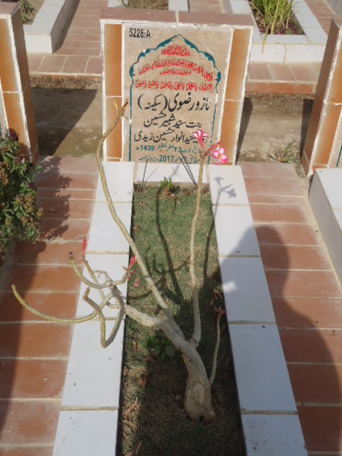 15228 – Nazo Rizvi