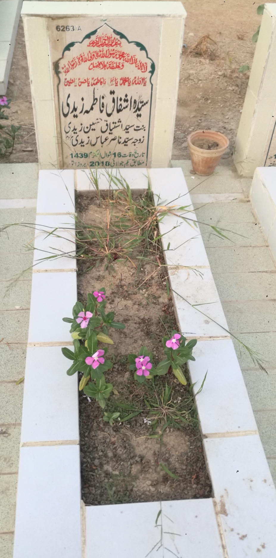 16263 – Syeda Ashfaq Fatima Zaidi