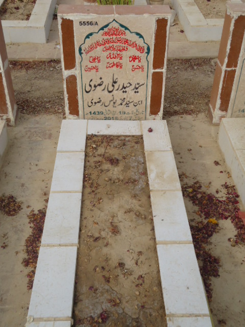 15556 – Syed Haider Ali Rizvi