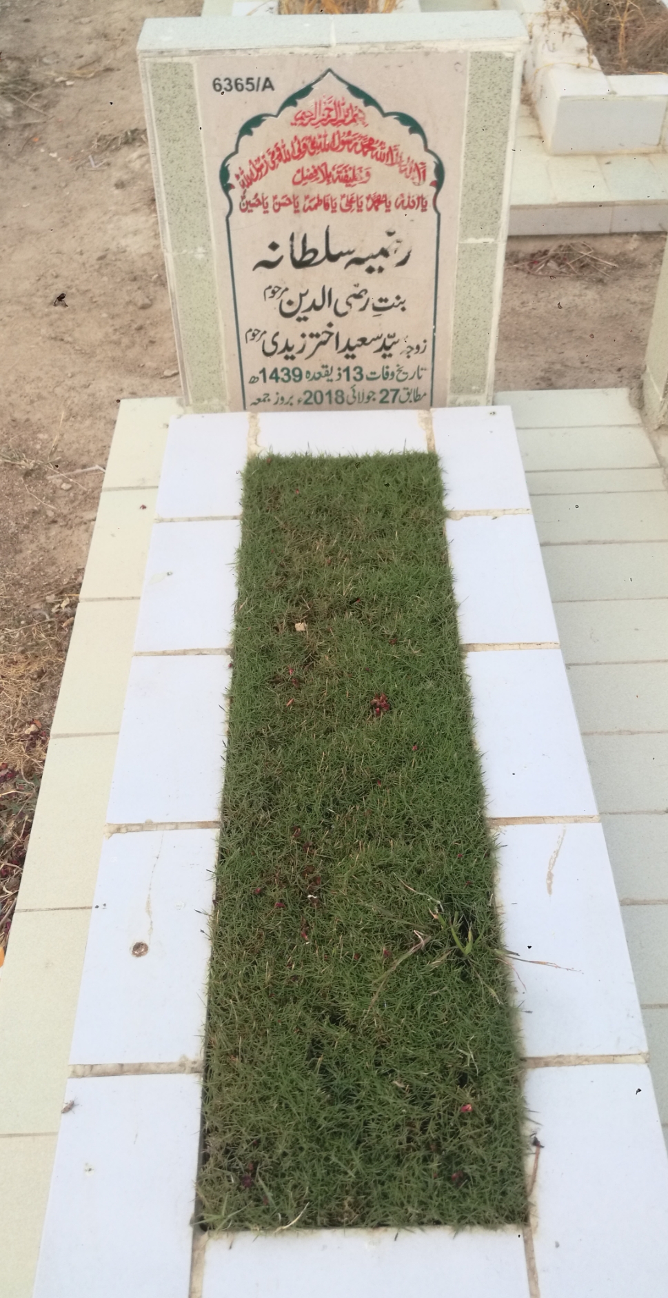 16365 – Razia Sultana