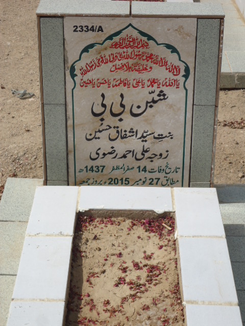 12334 – Shaban Bibi