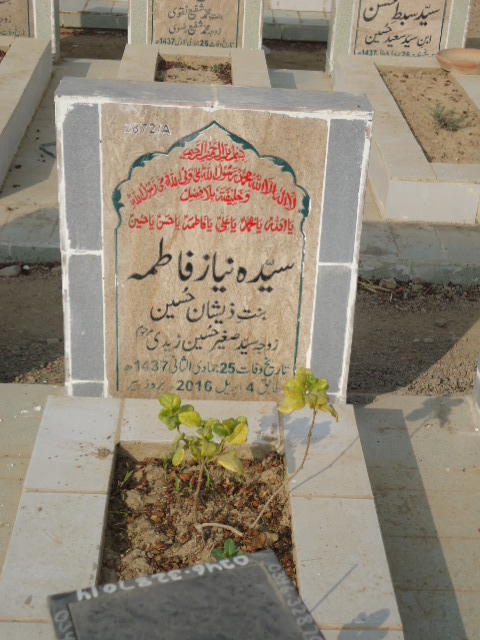 12872 – Syeda Niyaz Fatima