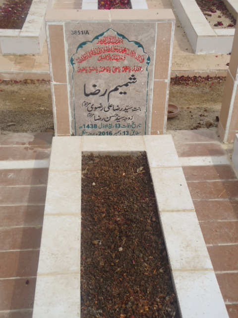 13851 – Shamim Raza