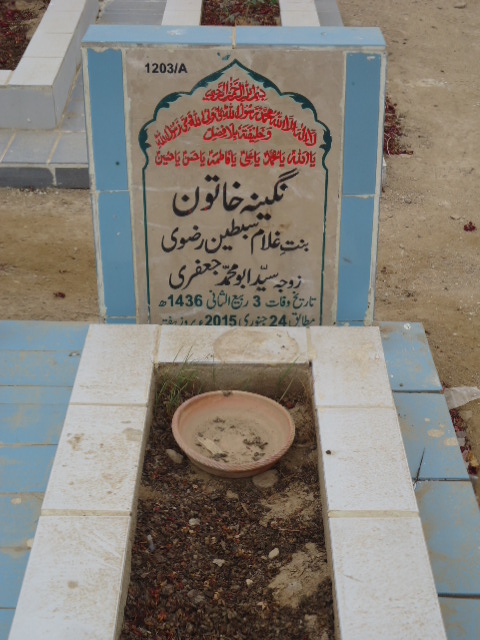 11203 – Nagina Khatoon