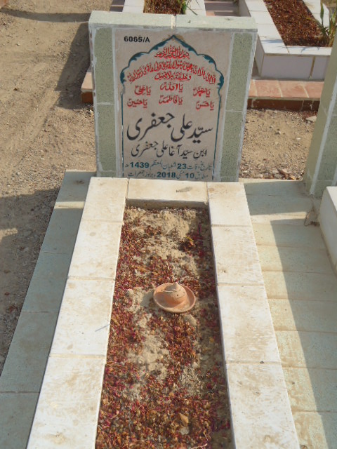 16065 – Syed Ali Jaffery