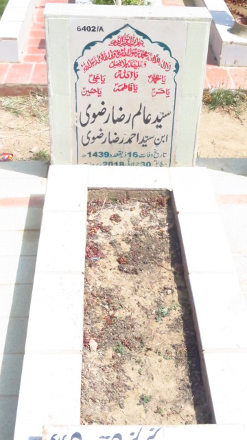 16402 – Syed Alam Raza Rizvi