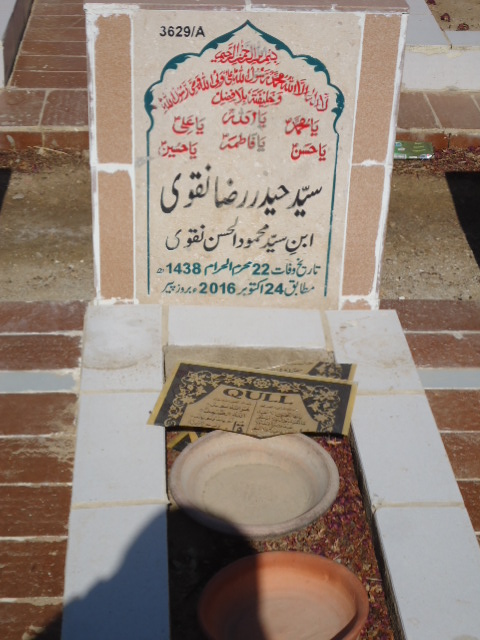 13629 – Syed Haider Raza Naqvi