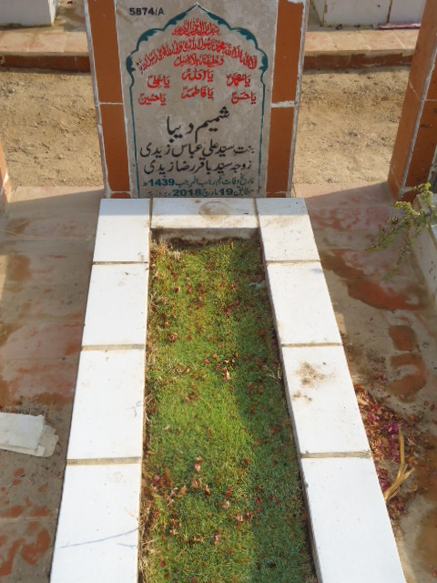 15874 – Shamim Deeba
